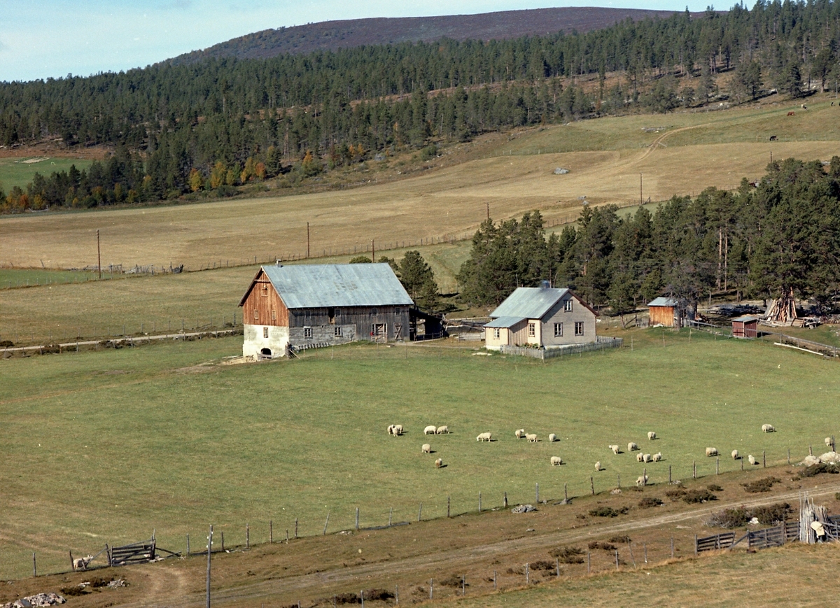 Widerøes Flyveselskap A/S, Flyfoto Langflyen