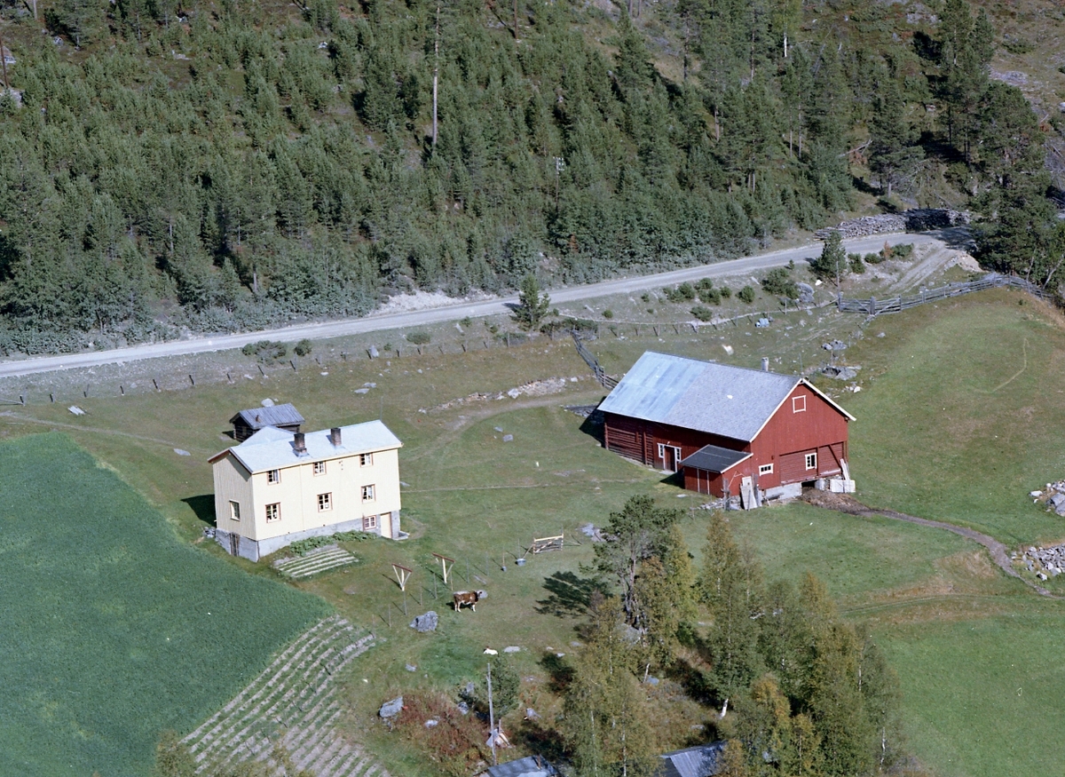 Widerøes Flyveselskap A/S, Flyfoto