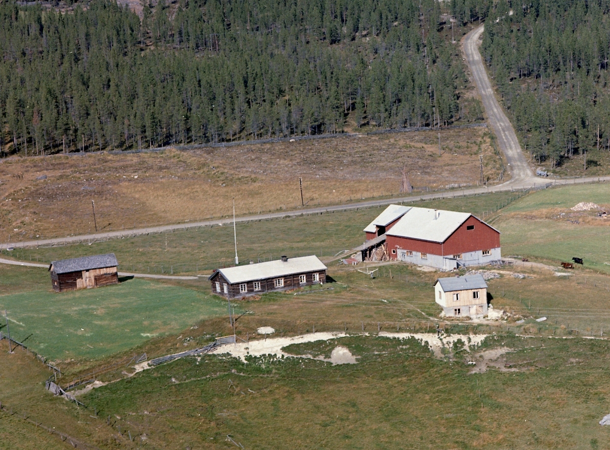 Widerøes Flyveselskap A/S, Flyfoto gardsbruk