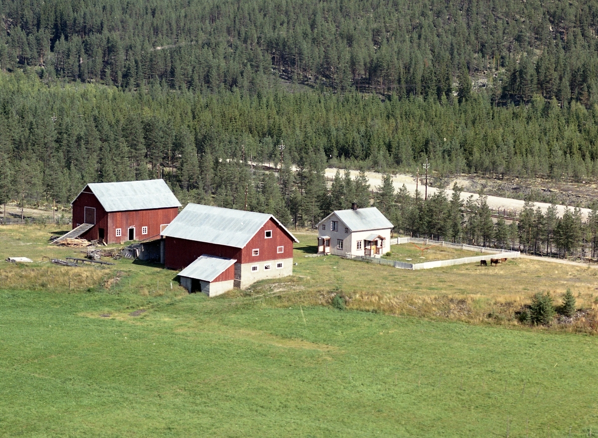 Widerøes Flyveselskap A/S, Gardsbruk Hanestad