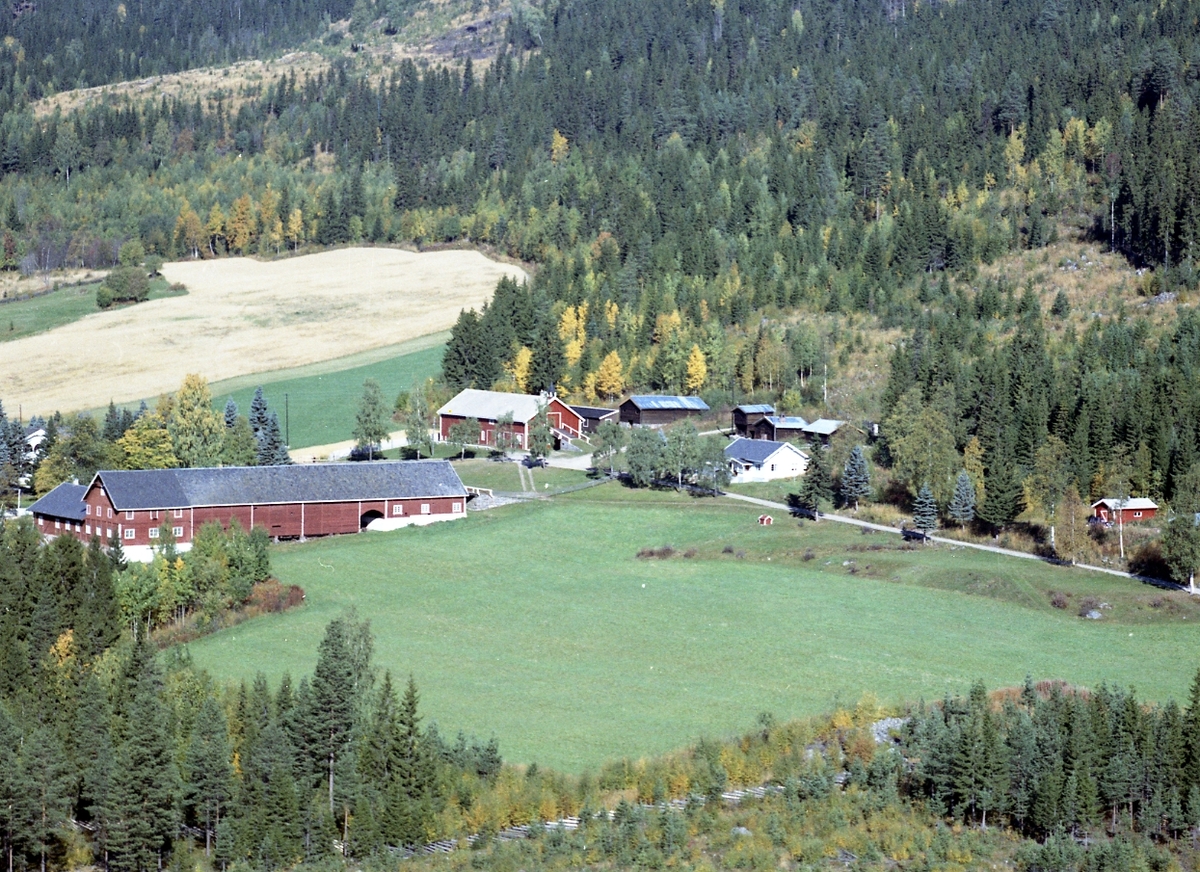 Widerøes Flyveselskap A/S, Gardsbruk