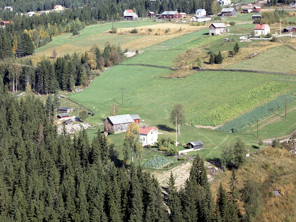 Widerøes Flyveselskap A/S, Gardsbruk