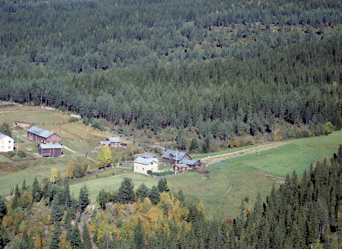 Widerøes Flyveselskap A/S, Gardsbruk