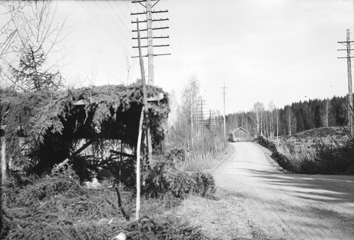 Håkon Prestkværn, HHB-14626
