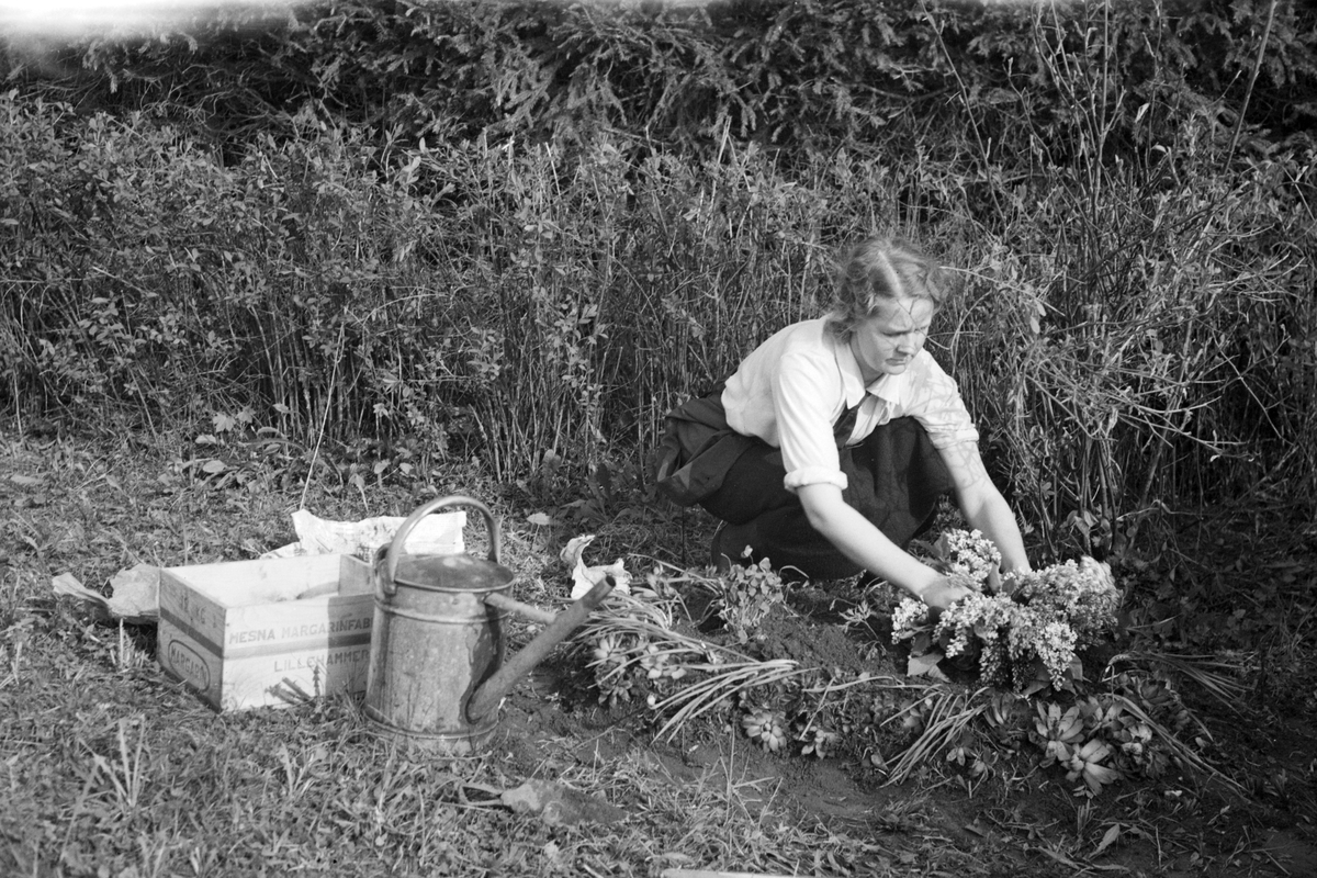 Håkon Prestkværn, HHB-14655