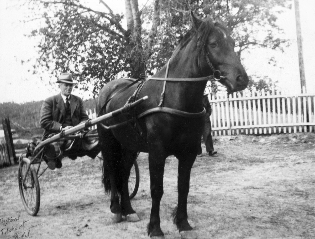 Ukjent, Hest med sulki, travhest. Thomas Haug. På Haug, Ringsaker.