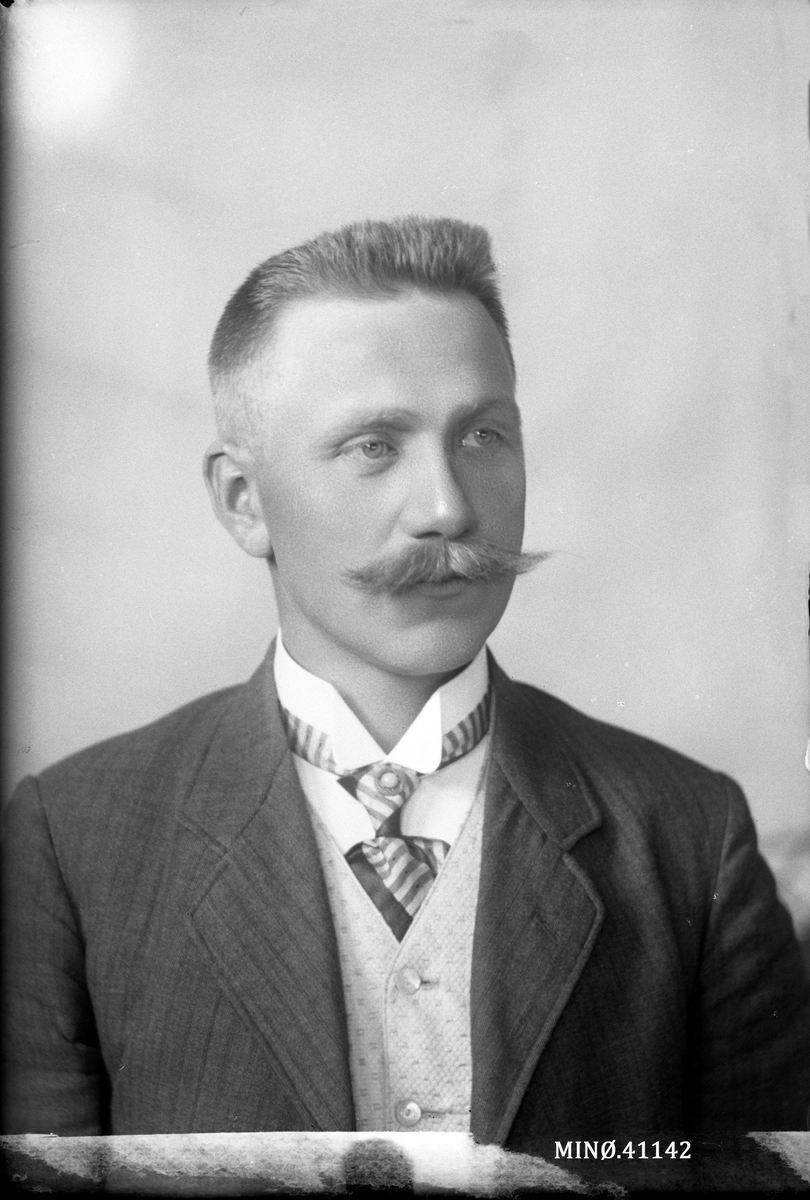 Oscar Holte, Portrett av mann. Bjørken.