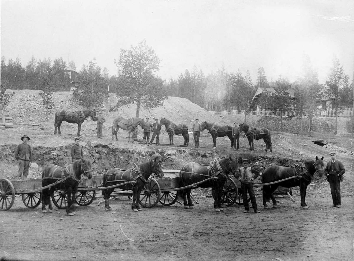 Oscar Holte, Kjørekarer med hester og vogner.