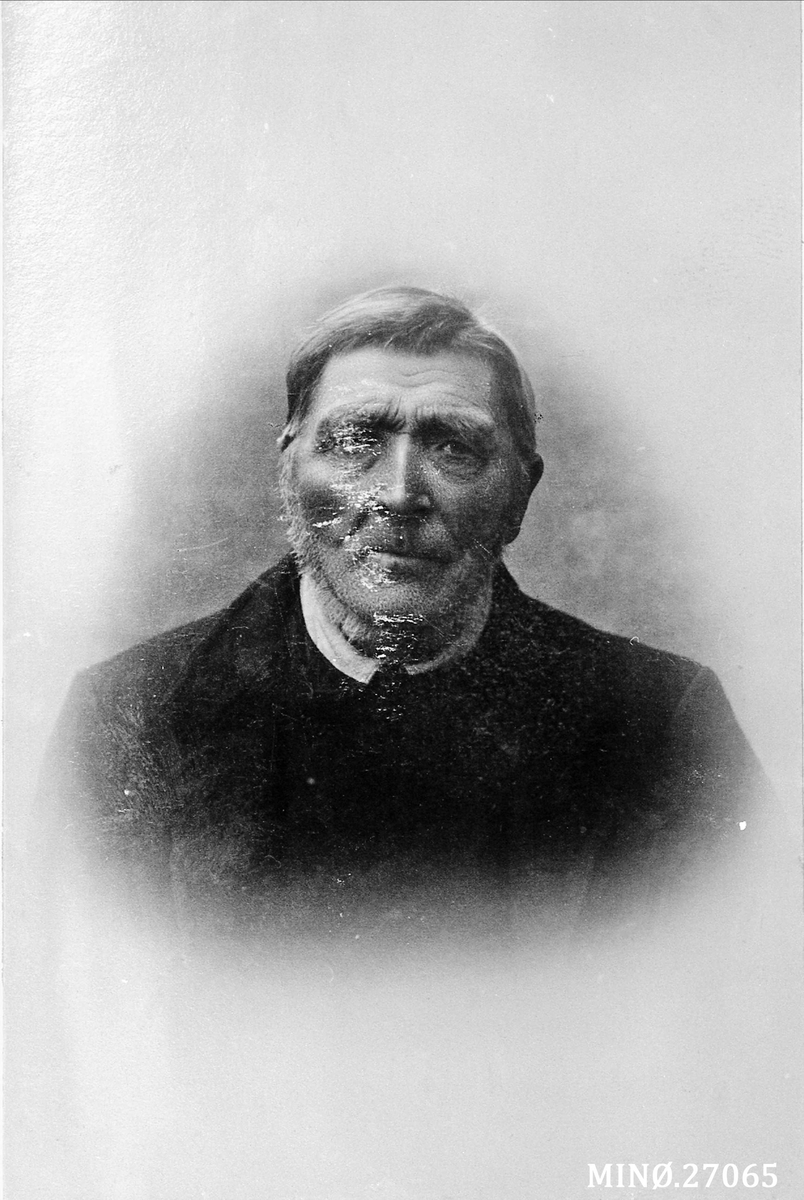 Oscar Holte, Portrett, Johan Brendryen 1829 - 1929.