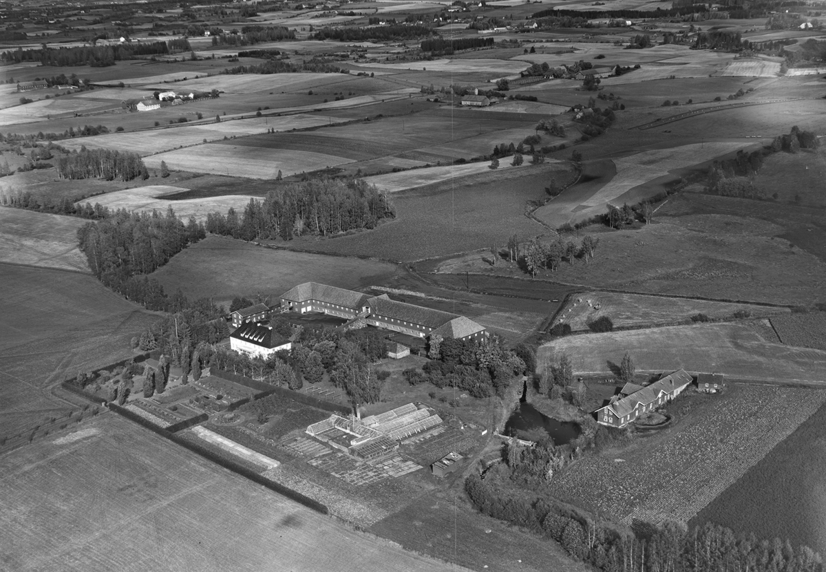 Widerøes Flyveselskap A/S, STAUR FORSØKSGÅRD, FLYFOTO