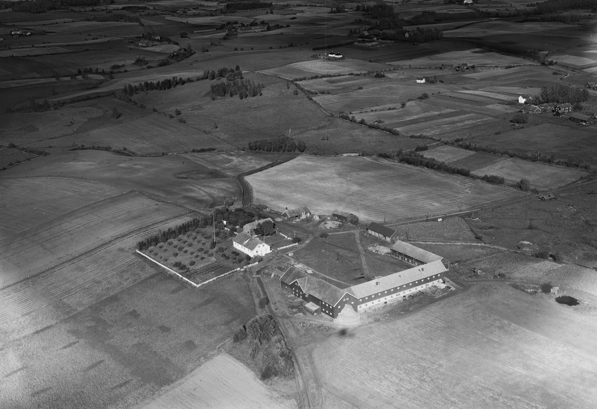 Widerøes Flyveselskap A/S, HUSEBY GÅRD, FLYFOTO