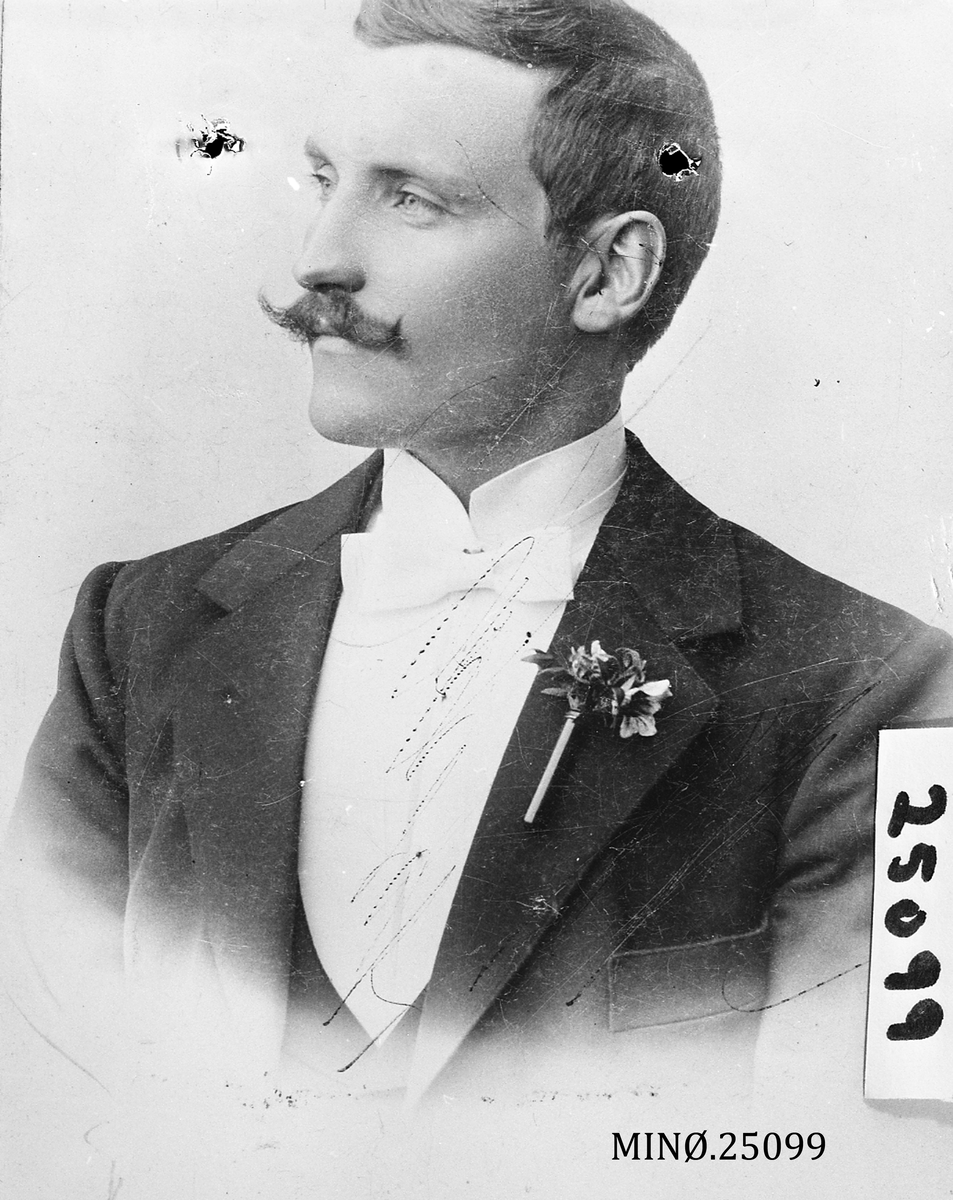 Henrik Augustinsson Stinessen, Portrett av mann - Iver Aasen