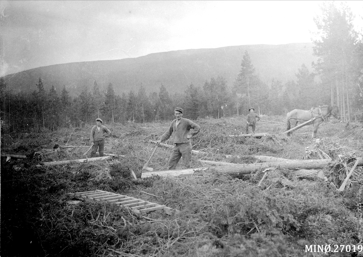 Henrik Augustinsson Stinessen, Rydding av skog. Førebuing til heimen til Erling Berglund. fv. Erling, Alfred Eriksen og ukjent med hest.