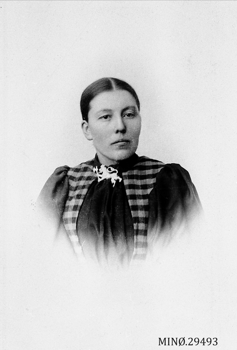 Henrik Augustinsson Stinessen, Portrett av kvinne
