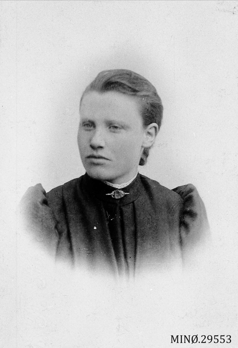 Henrik Augustinsson Stinessen, Portrett av kvinne