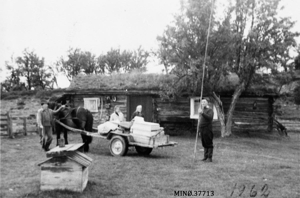 Ukjent, Seterflytting. Fra Nesvangen på Kjølen 1962.