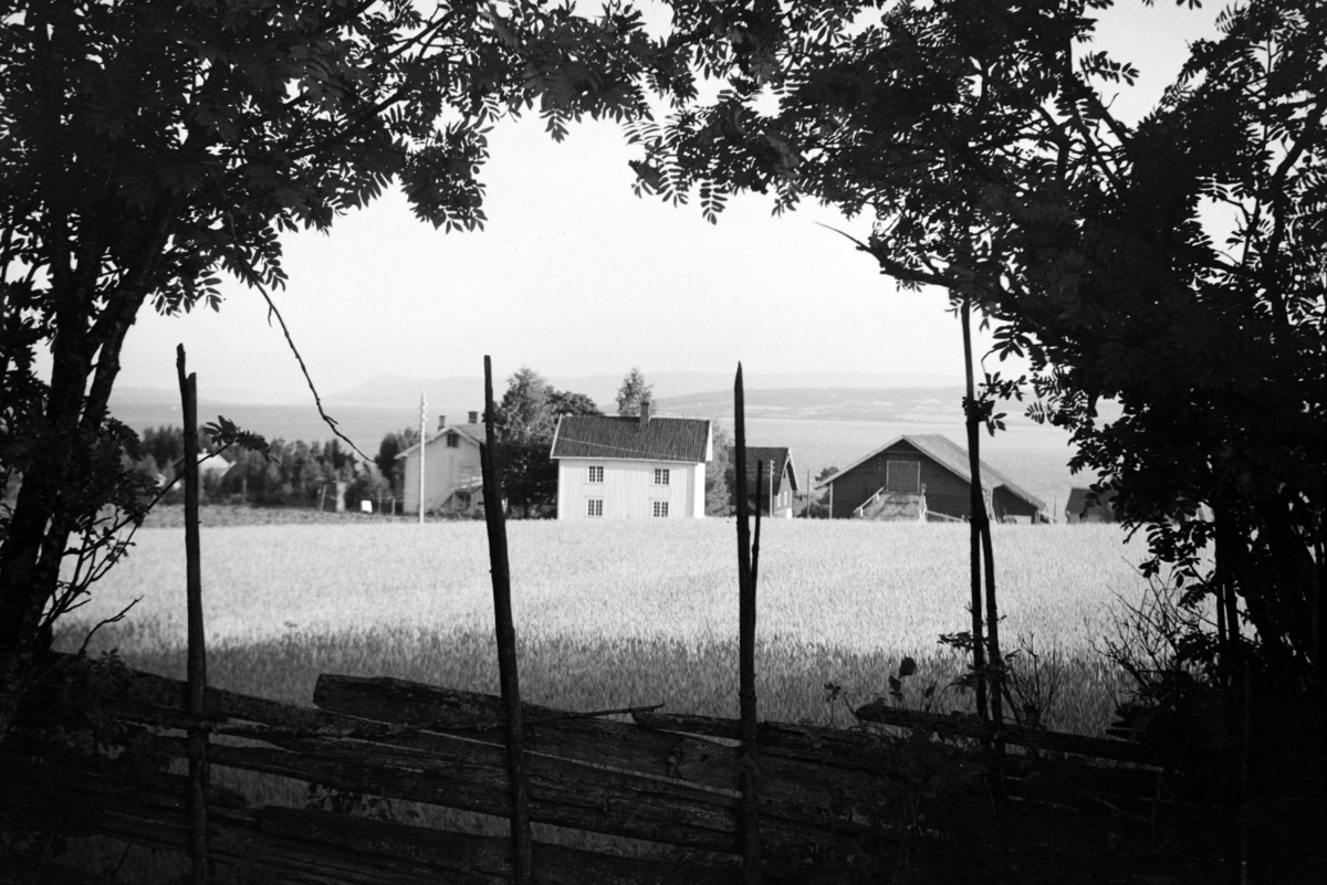 Johs. (Johannes) Johannessen, Jessnes gard, landskap, Furnes.