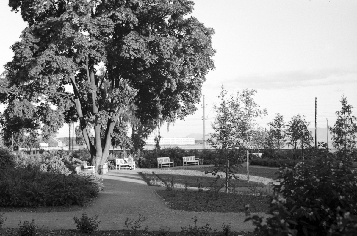 Johs. (Johannes) Johannessen, Strandgateparken, Hamar.