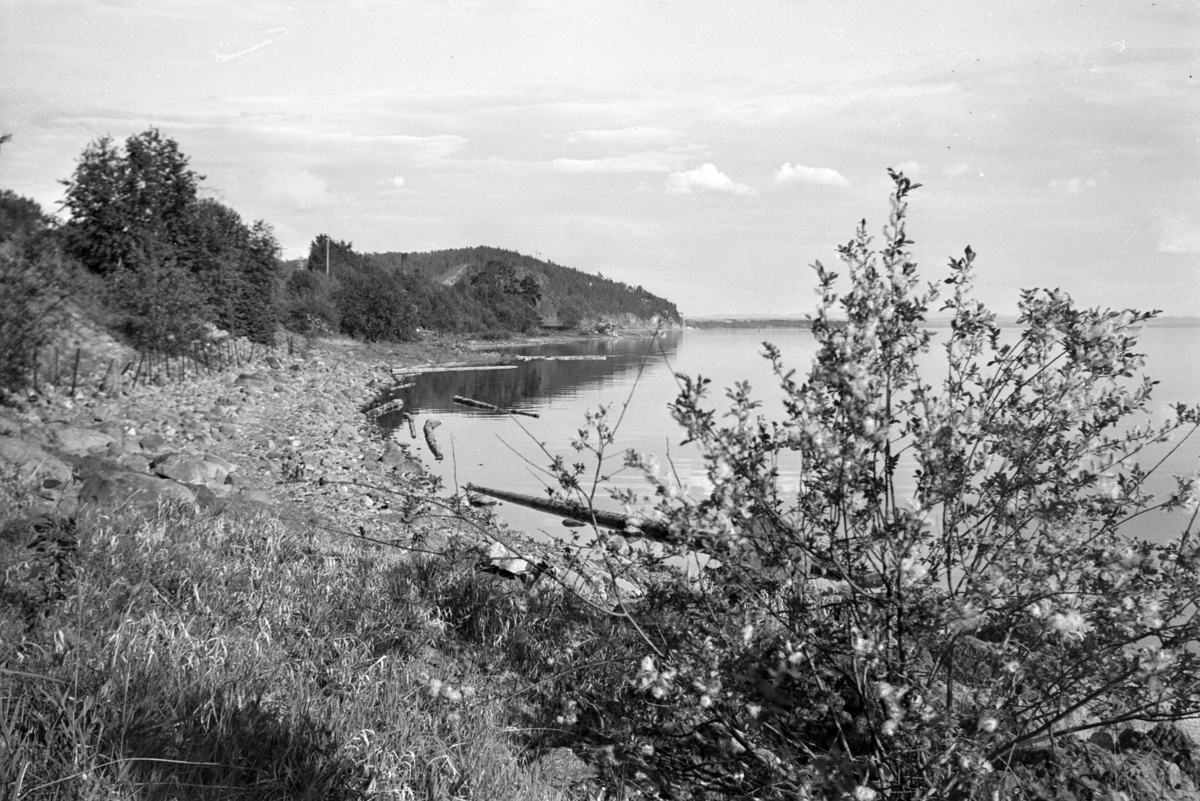 Johs. (Johannes) Johannessen, Jessnes, Mjøslandskap, Furuberget.