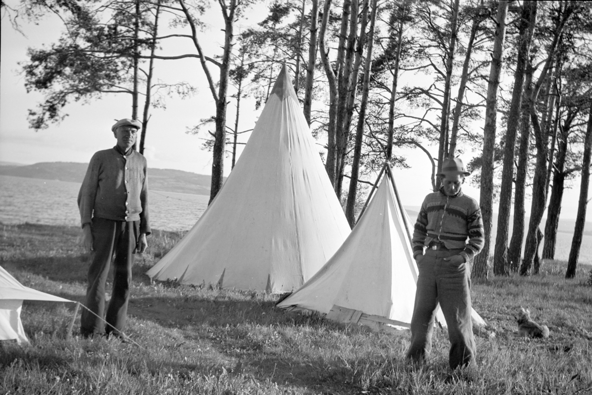 Johs. (Johannes) Johannessen, Rosenlundvika, Rinalunden, Domkirkeodden, campingplass, knappetelt, to ukjente menn. Hamar.