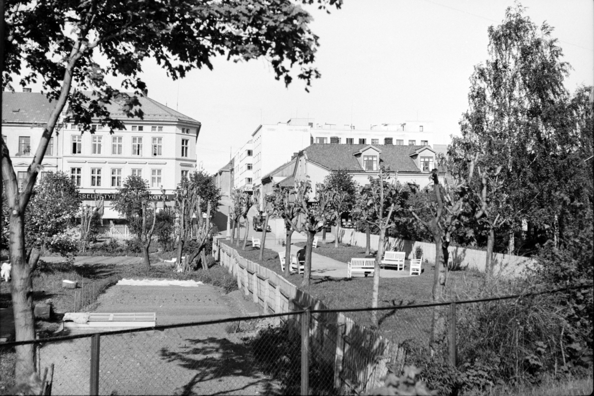 Johs. (Johannes) Johannessen, Strandgatehagene, grønnsakshage, park, benker, Hamar.