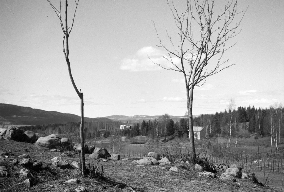 Johs. (Johannes) Johannessen, Jessnes øvre, Furnes, landskap,