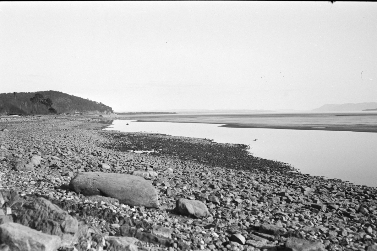 Johs. (Johannes) Johannessen, Mjøsstranda, vår, Jessnes