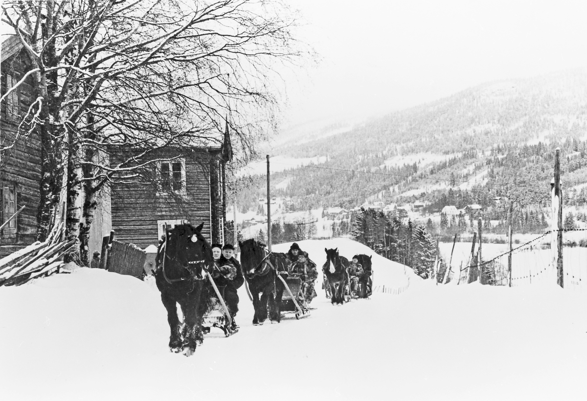 Rachel Haarseth, Hester og sleder, personer, bolighus, gjerde.
