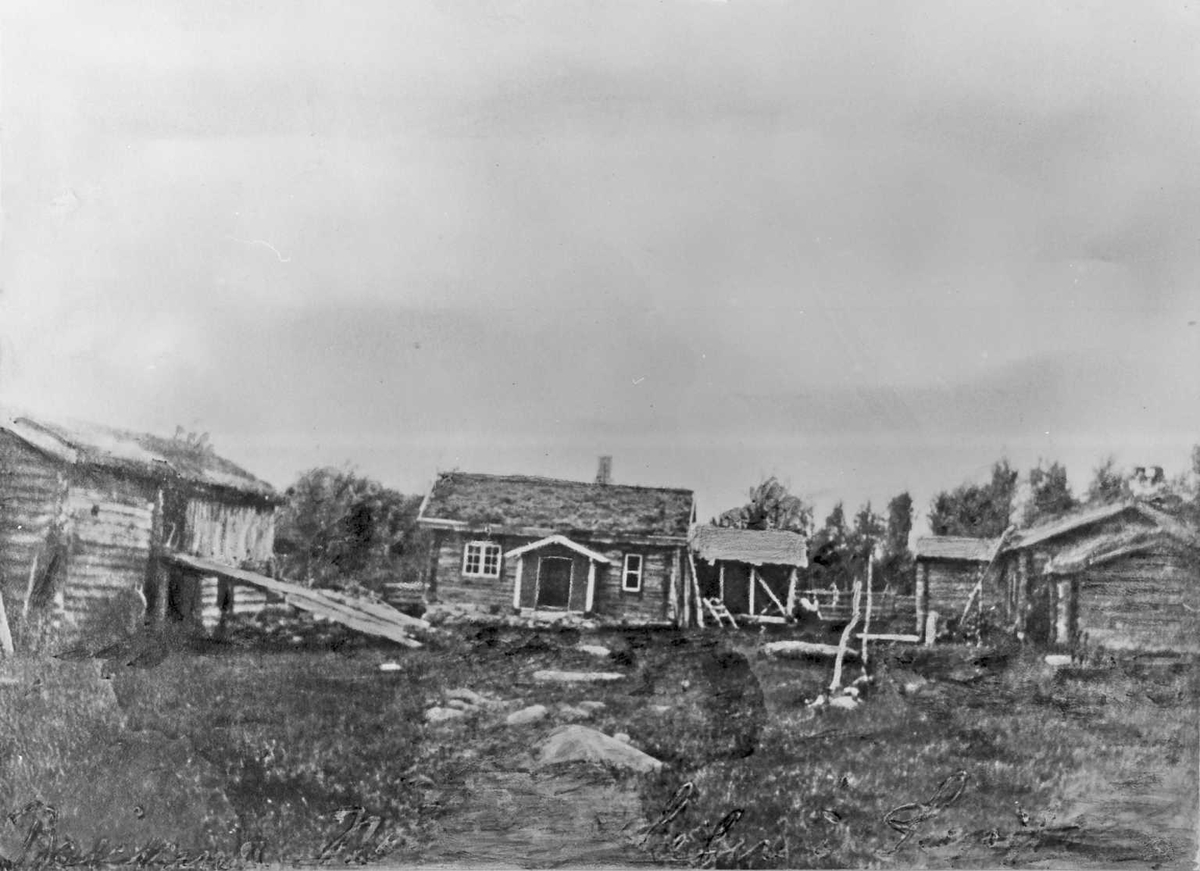 Rachel Haarseth, Gårdsbruk.