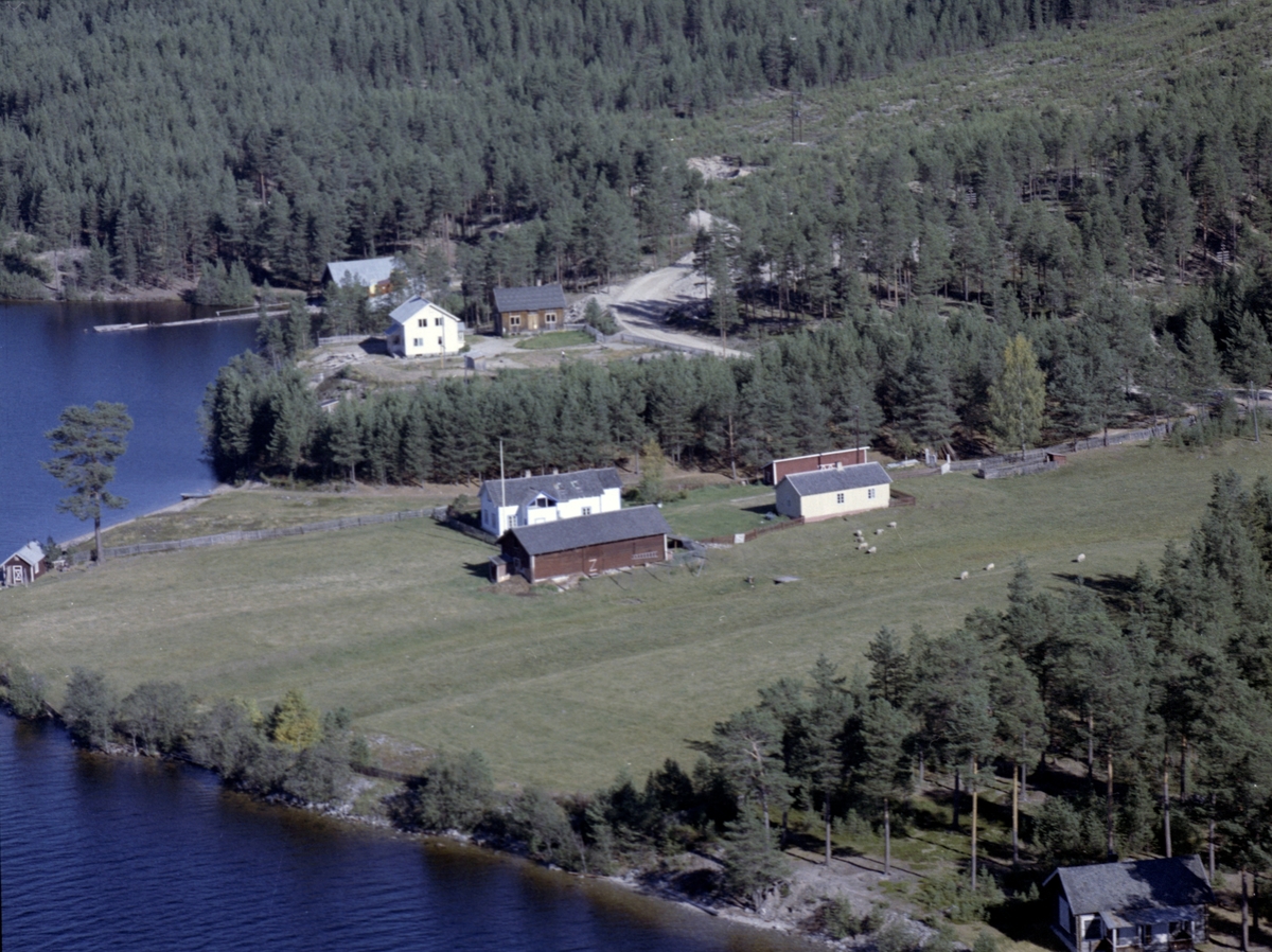 Widerøes Flyveselskap A/S, Bolighus