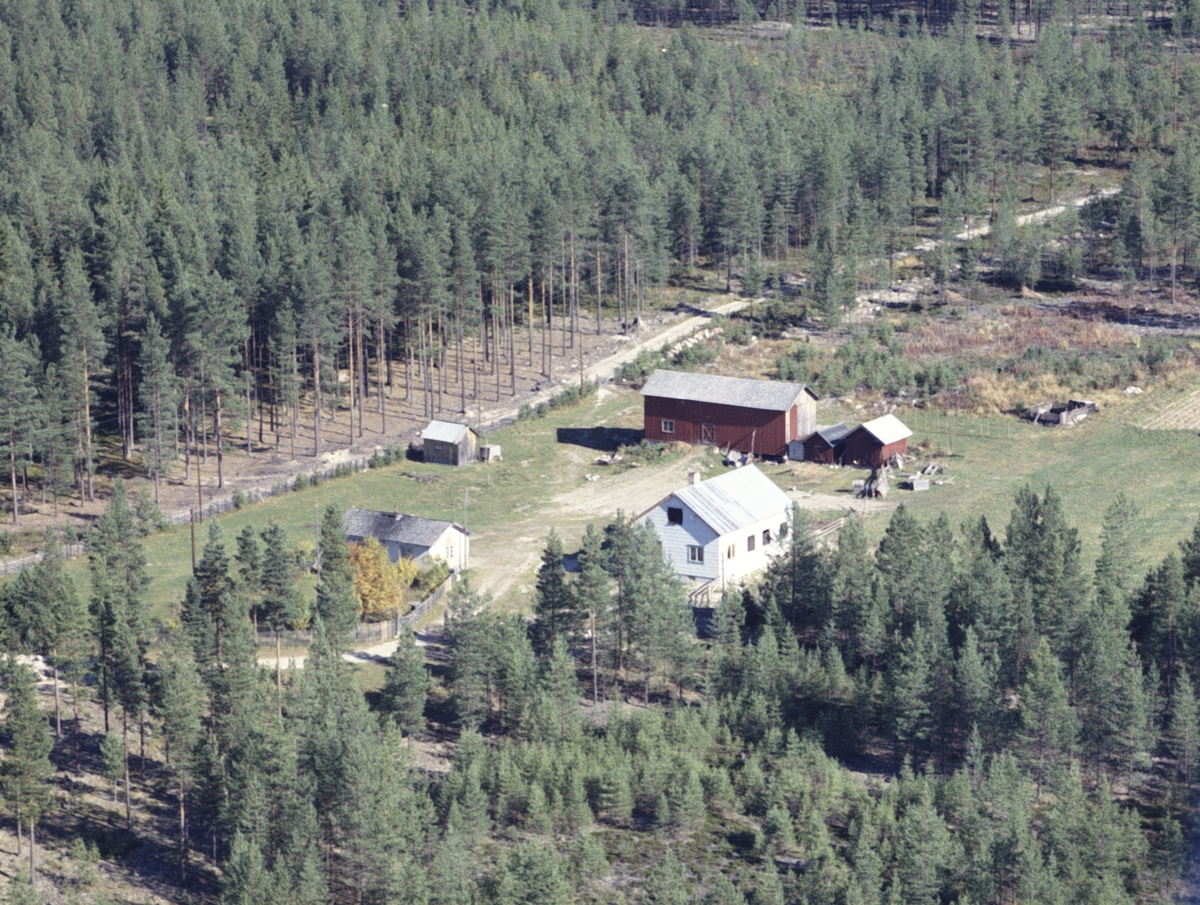 Widerøes Flyveselskap A/S, Bolighus