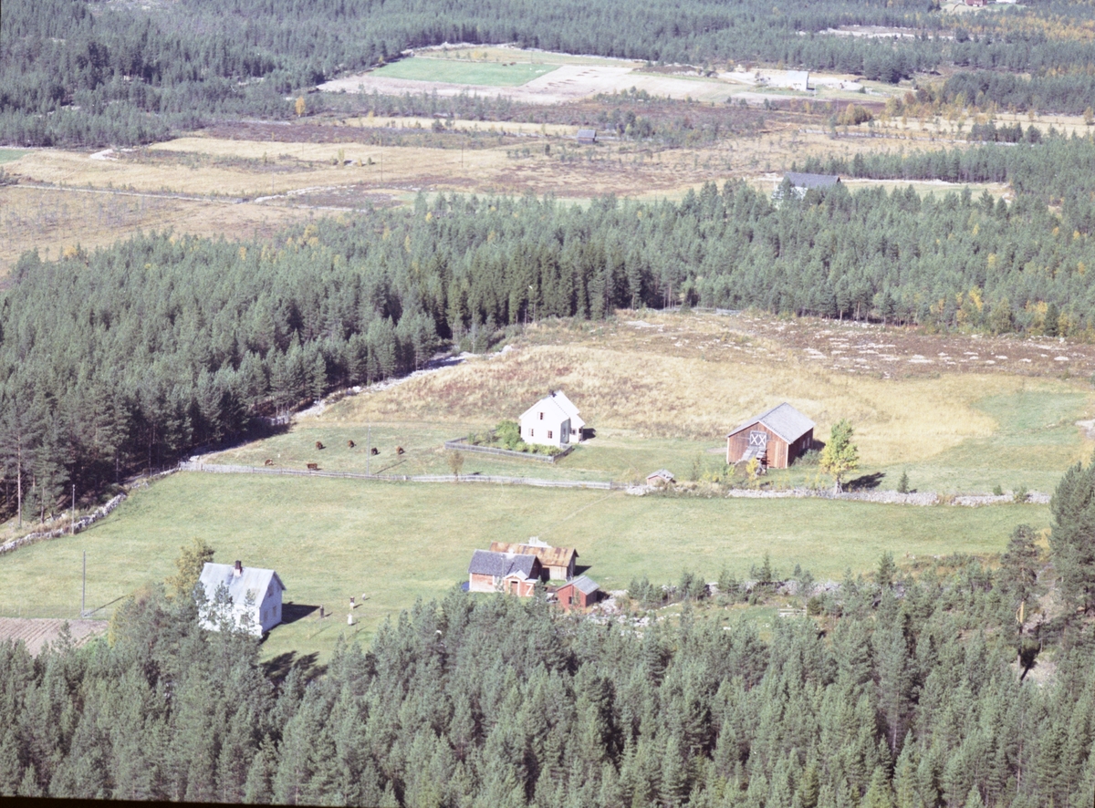 Widerøes Flyveselskap A/S, Gardsbruk