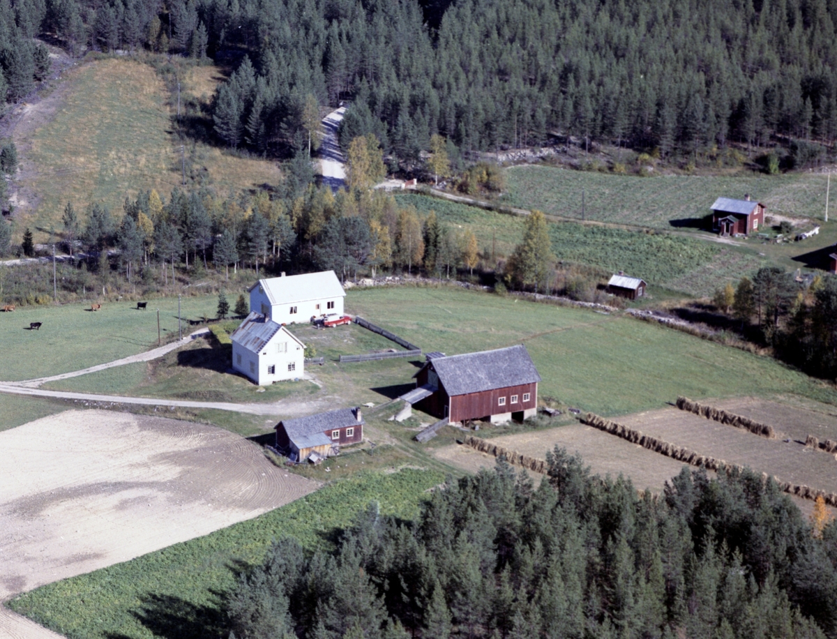 Widerøes Flyveselskap A/S, Gardsbruk