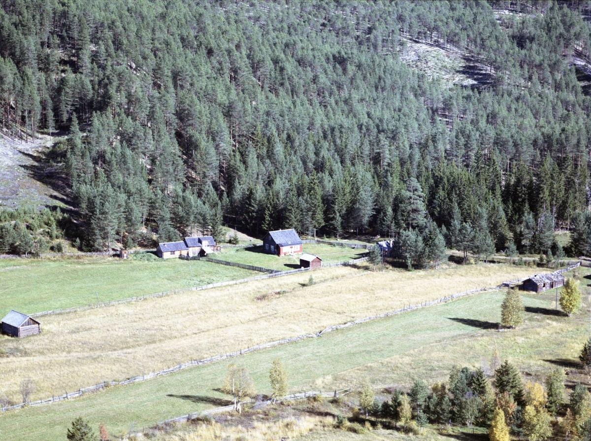 Widerøes Flyveselskap A/S, Gardsbruk