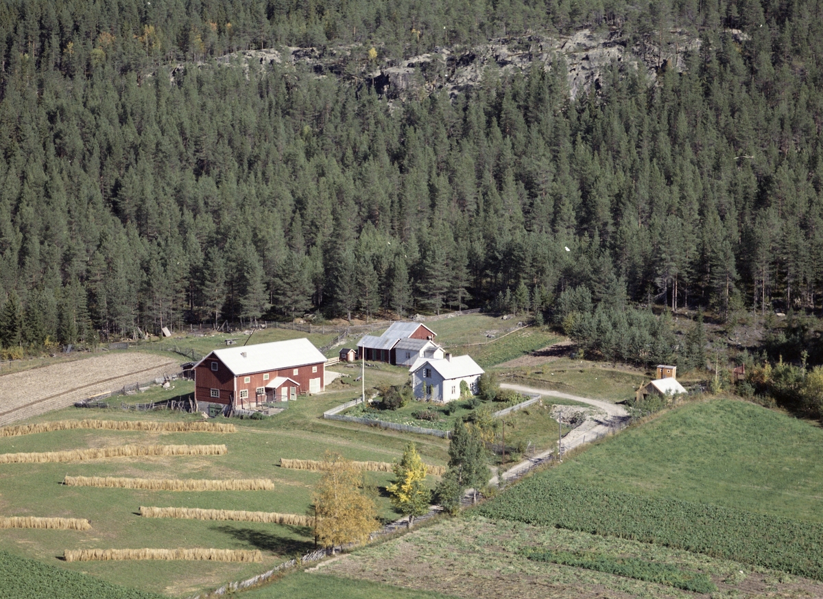 Widerøes Flyveselskap A/S, Gardsbruk