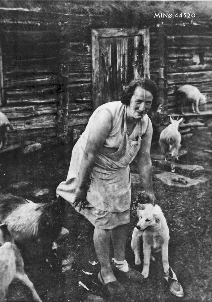 Rachel Haarseth, Kvinne, klær, geiter, seterbygning.