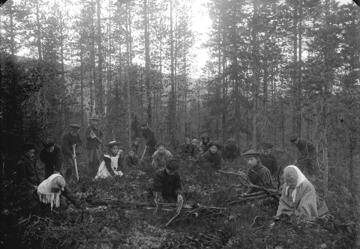 Jakob Jakobsen Engerdal, Skogplanting, skolebarn.