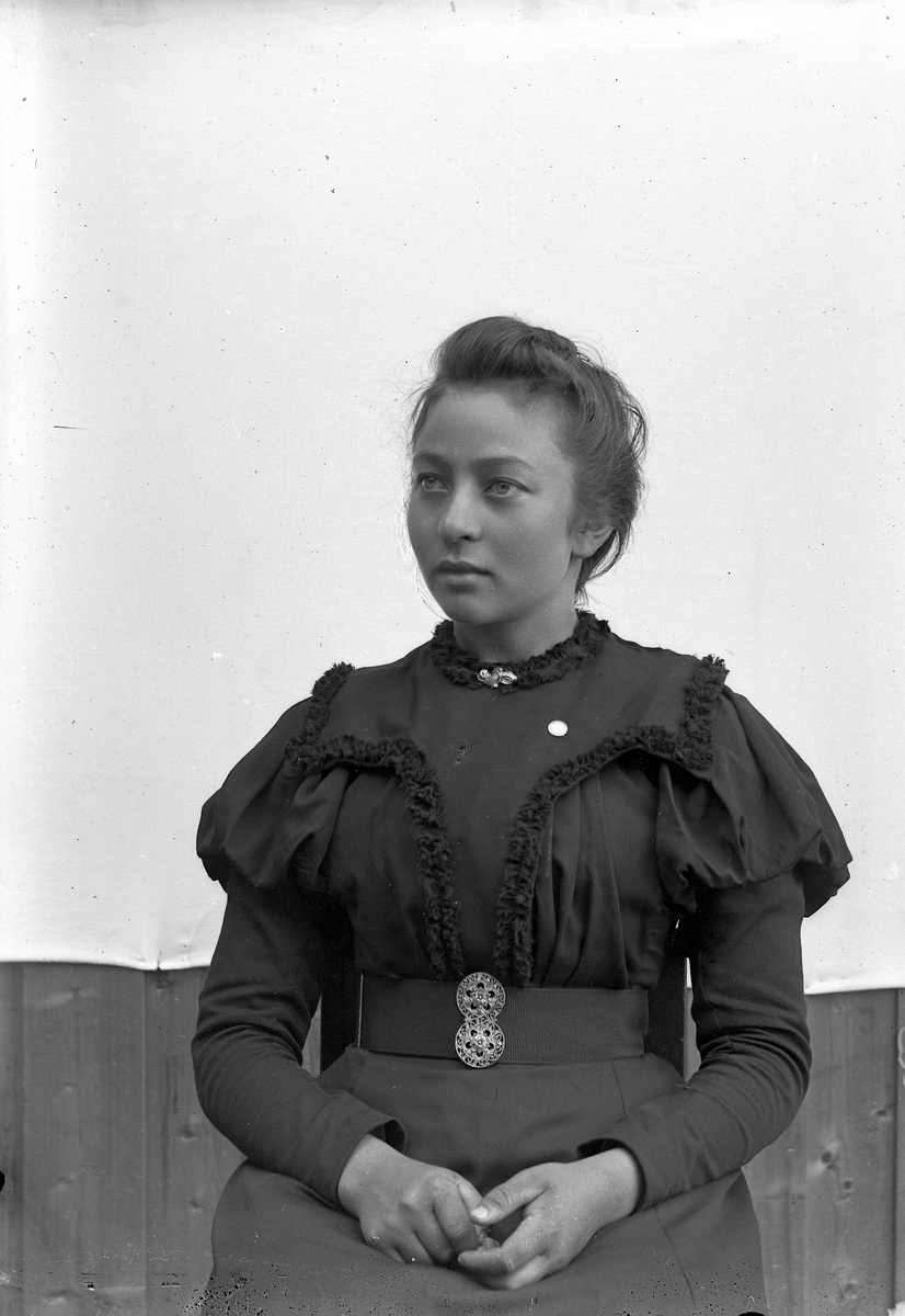 Jakob Jakobsen Engerdal, Halvportrett, sittende kvinne. Beltespenne, kjole med puffermer.