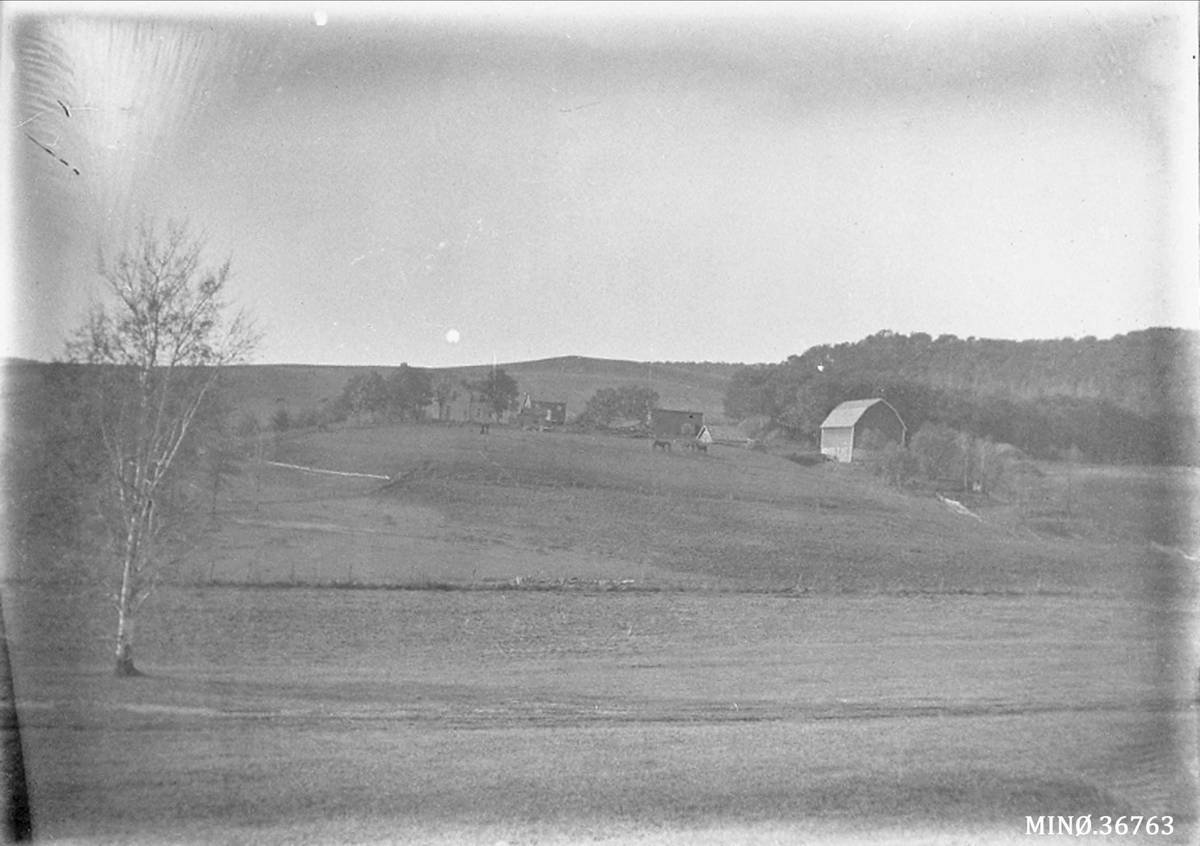 Ellert Kleven, Eidet farm i Fall Coulee, Wisconsin