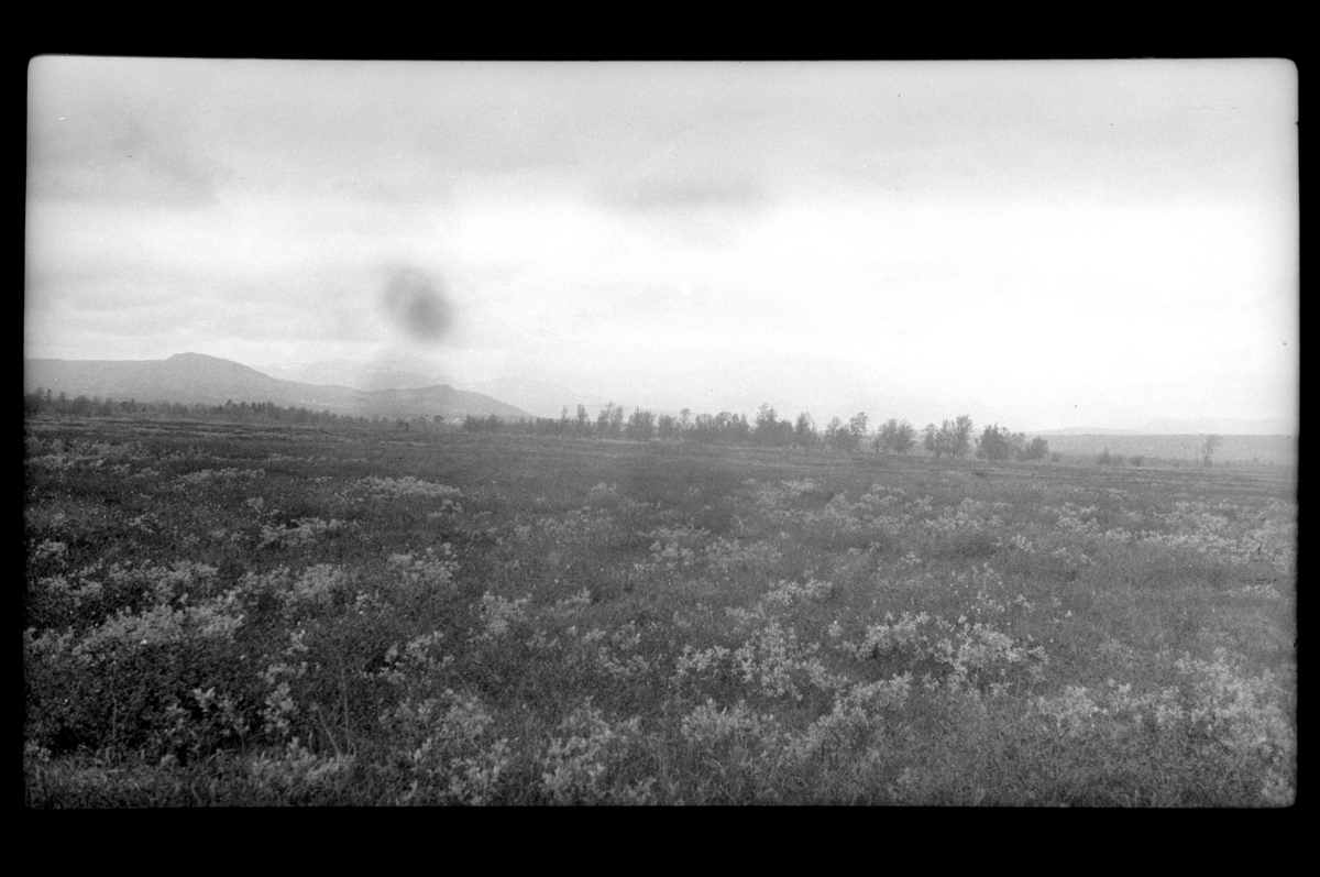 Rolf Sr. Sundt, Ukjent fjellandskap. Fotografert 1928.