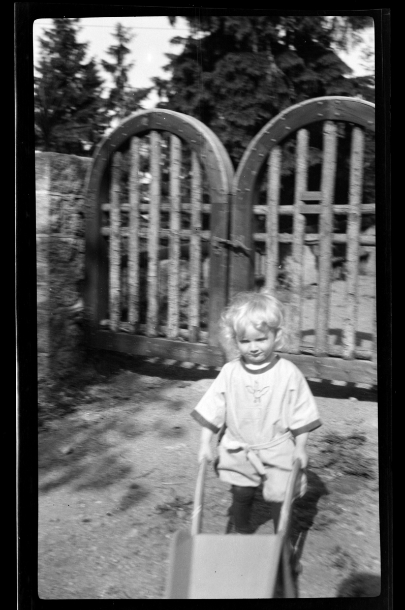 Rolf Sr. Sundt, NF.34664-307