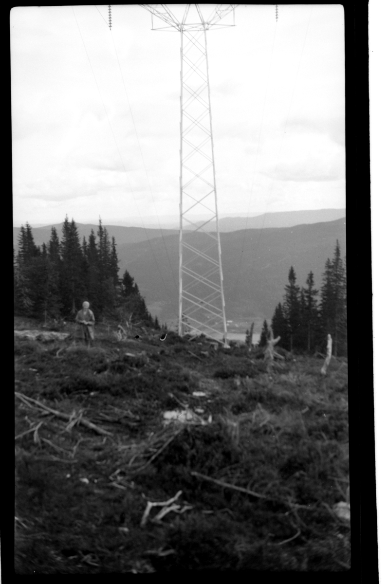 Rolf Sr. Sundt, NF.34664-632