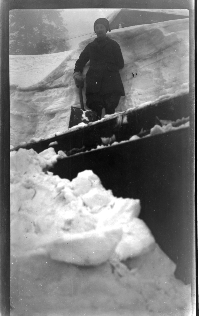 Rolf Sr. Sundt, NF.34664-665
