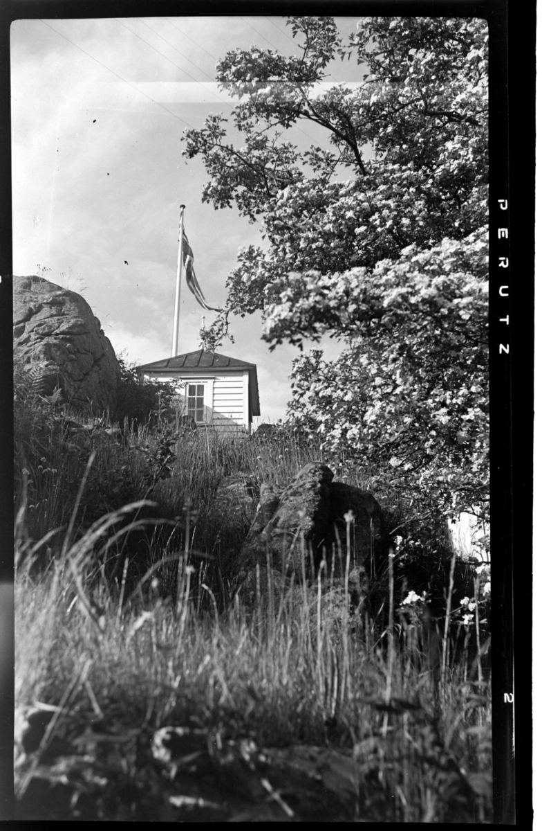 Rolf Sr. Sundt, NF.34664-691
