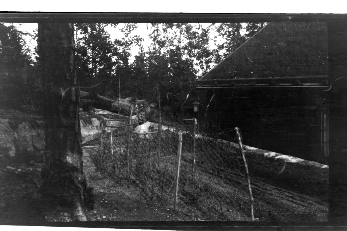 Rolf Sr. Sundt, NF.34664-799