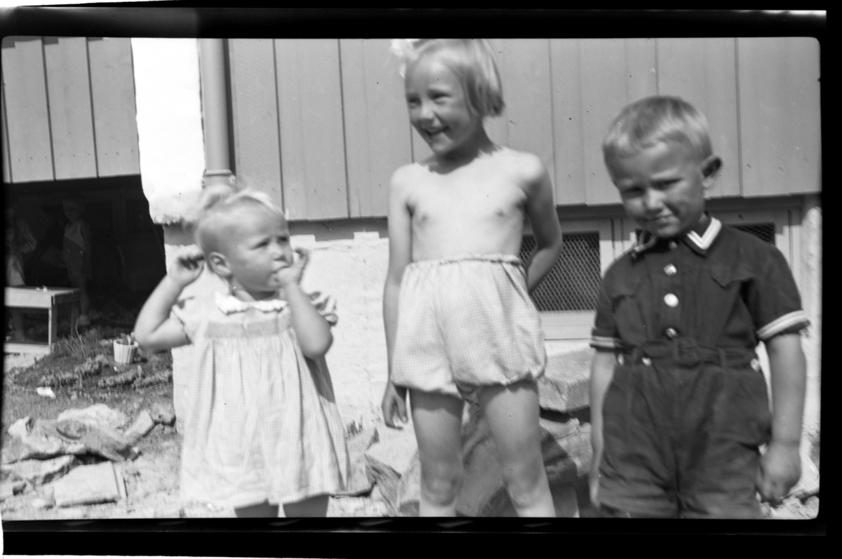 Rolf Sr. Sundt, NF.34664-899