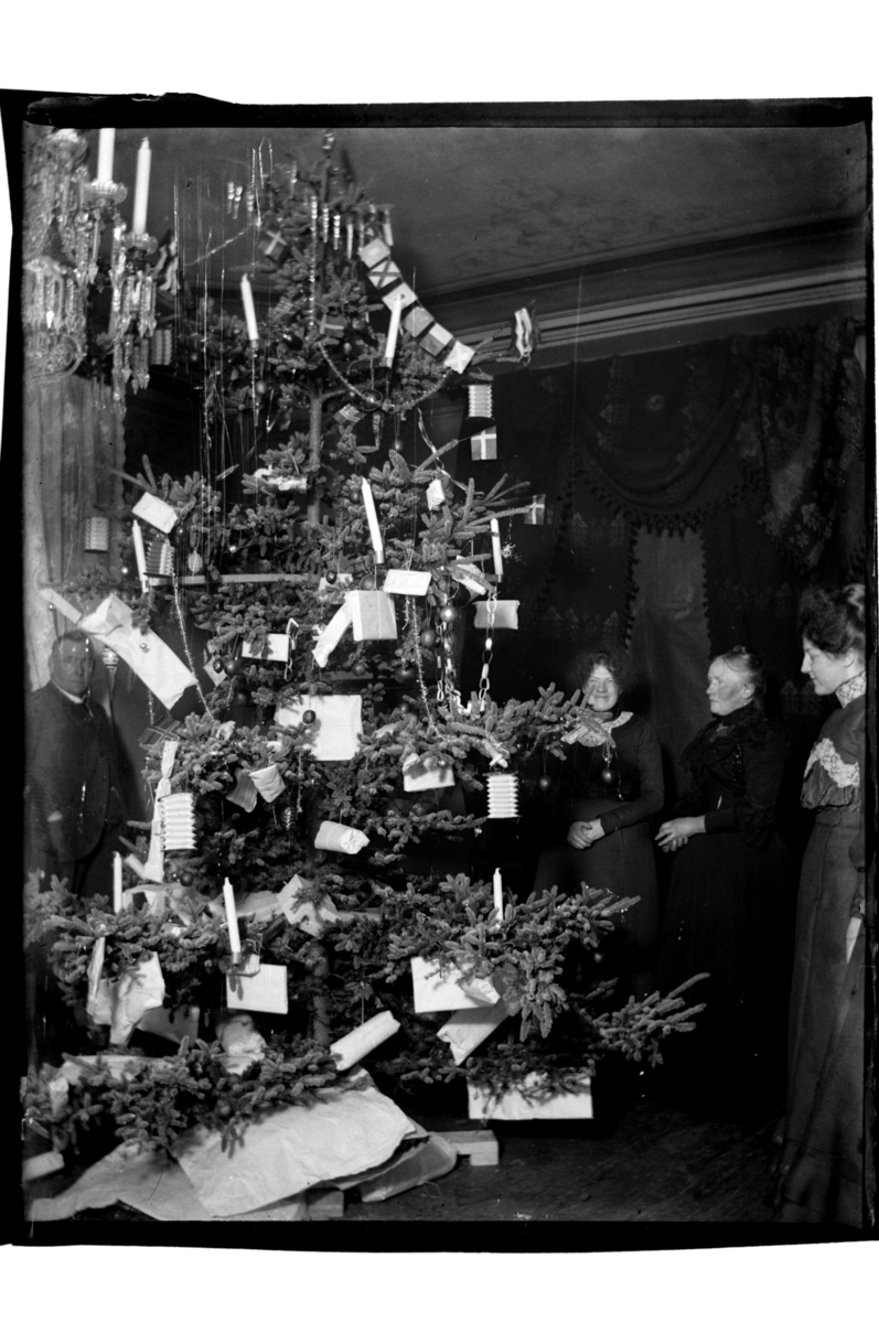Rolf Sr. Sundt, Julefeiring hos familien Sundt i Kirkegaten 1, Farsund. Fotografert 1900-03.