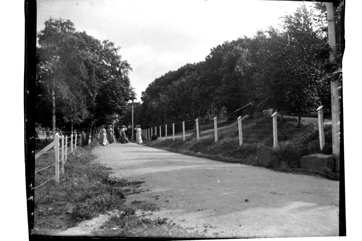 Rolf Sr. Sundt, NF.34897-045