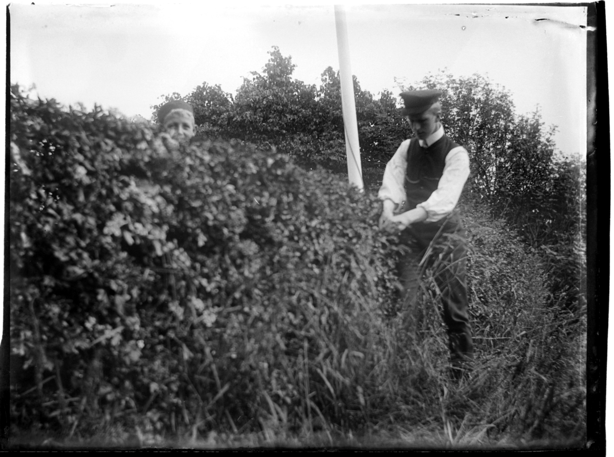 Rolf Sr. Sundt, Brødrene Peter B. D. Sundt og Rolf Sundt Sr. ved hekk i ukjent hage. Antagelig fotografert 1900-03.