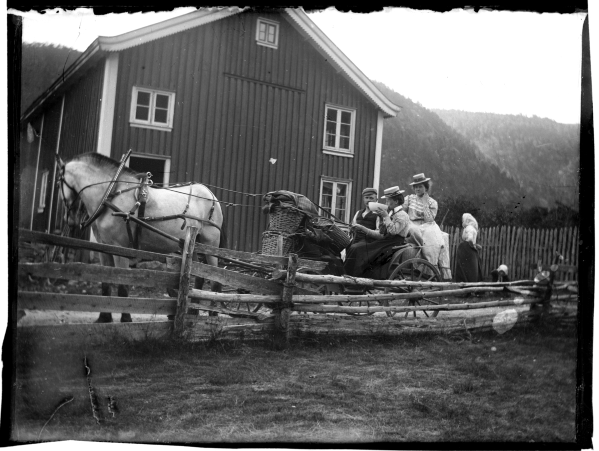 Rolf Sr. Sundt, NF.34897-127